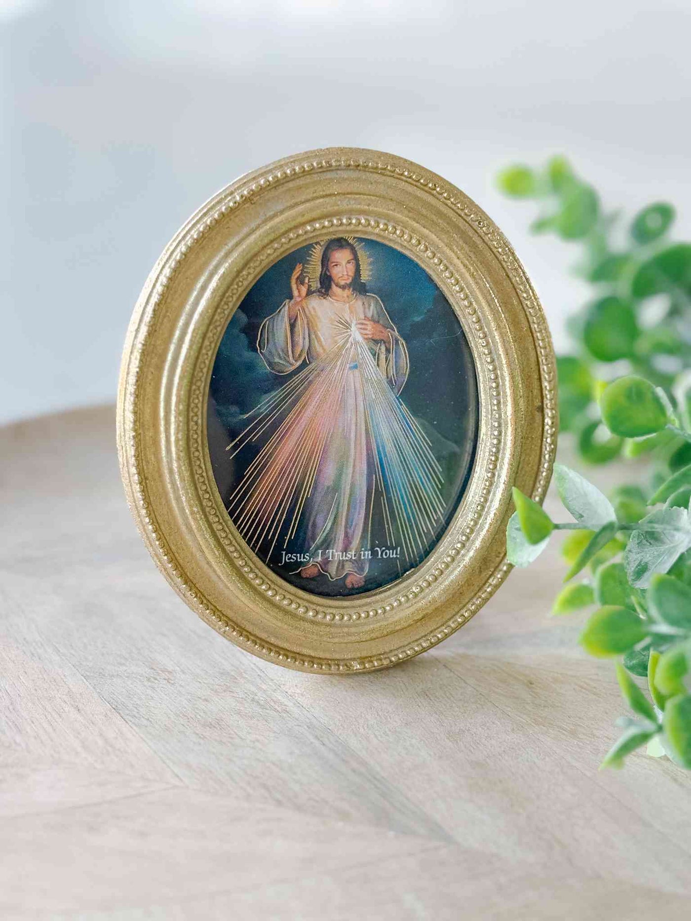 Petite Divine Mercy - Framed