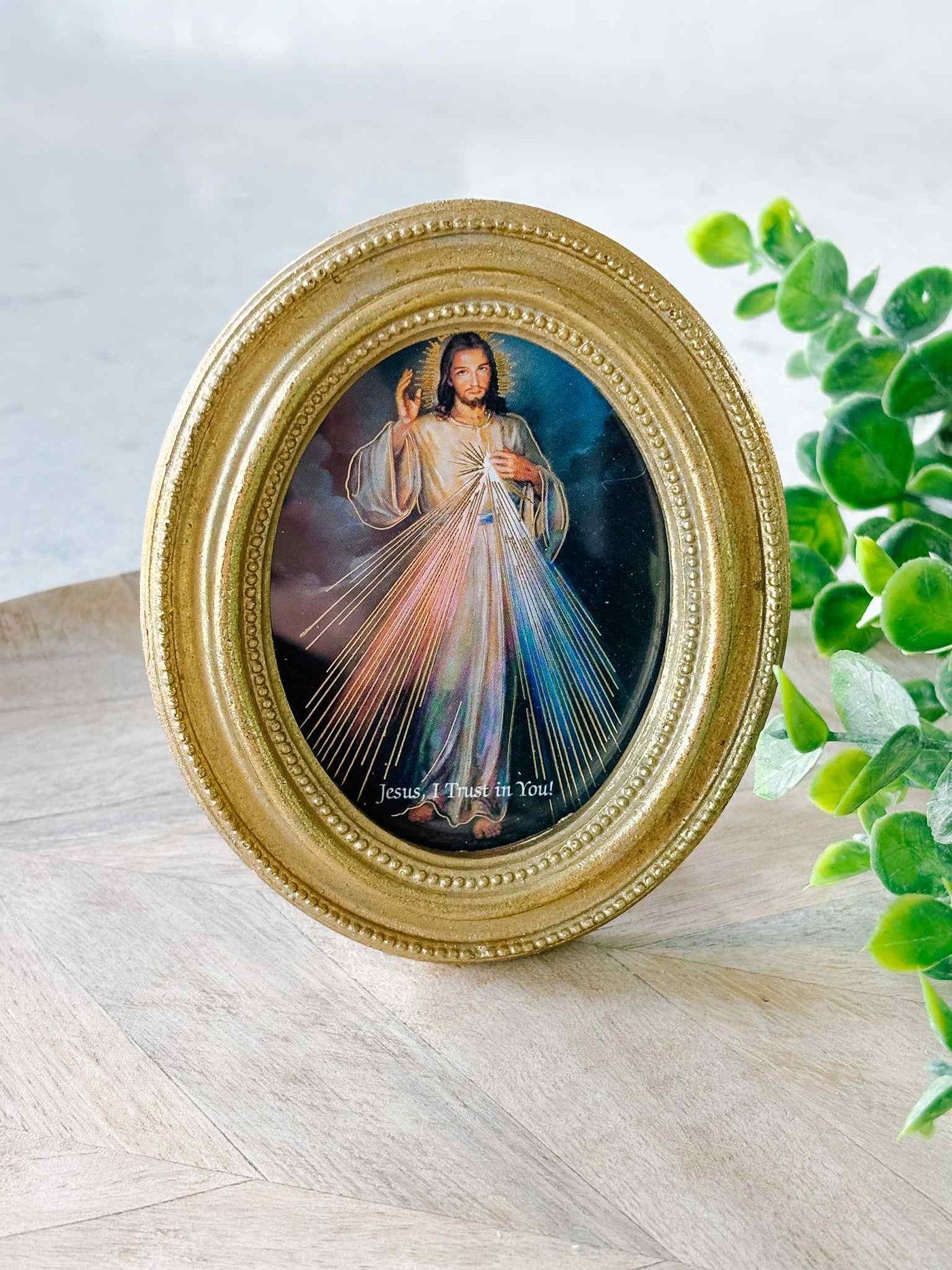 Petite Divine Mercy - Framed